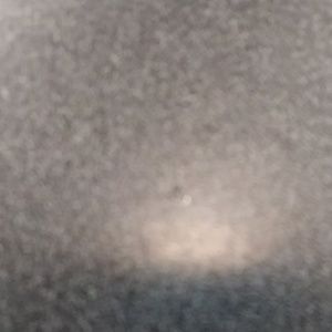 Meet your Posher, Jessie